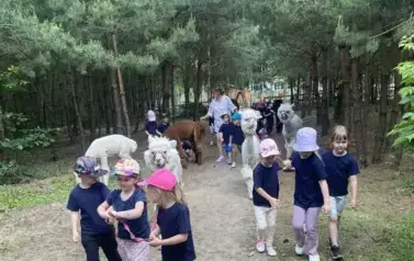 503276479_1182683563658803_3766157366837472285_n