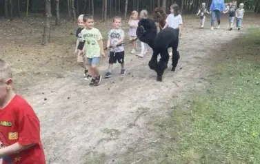 503438611_1182755223651637_1311697890156379545_n
