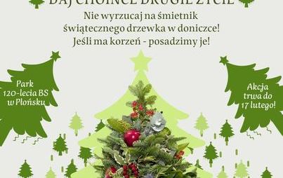 Zdjęcie do Daj choince drugie życie&nbsp;