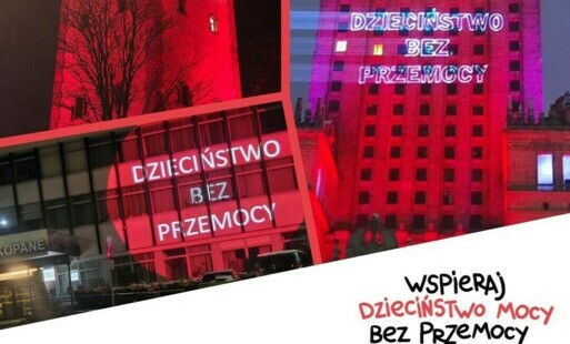 Zdjęcie do Fundacja Dajemy Dzieciom Siłę